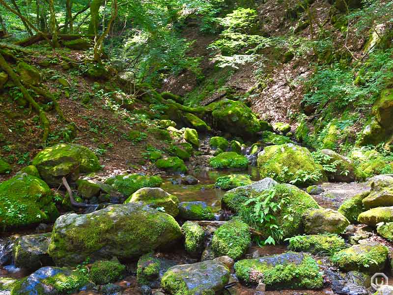 Rock Garden trail