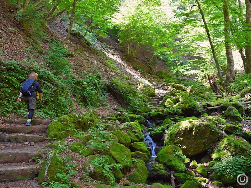 Rock Garden scenery