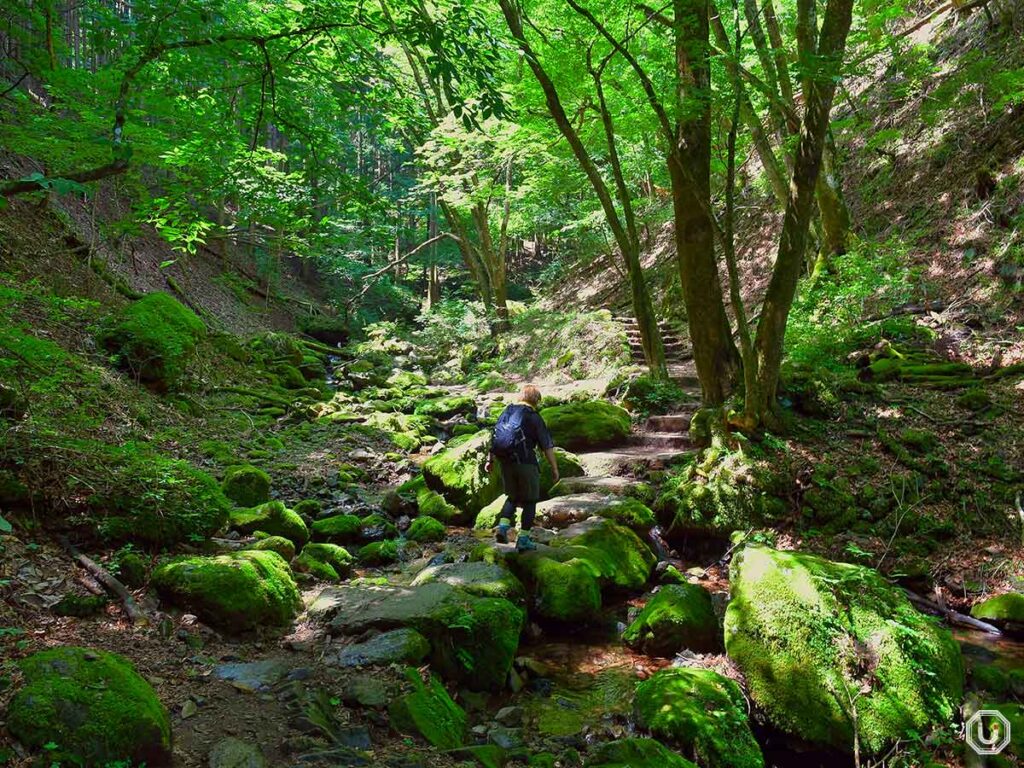 御岳山