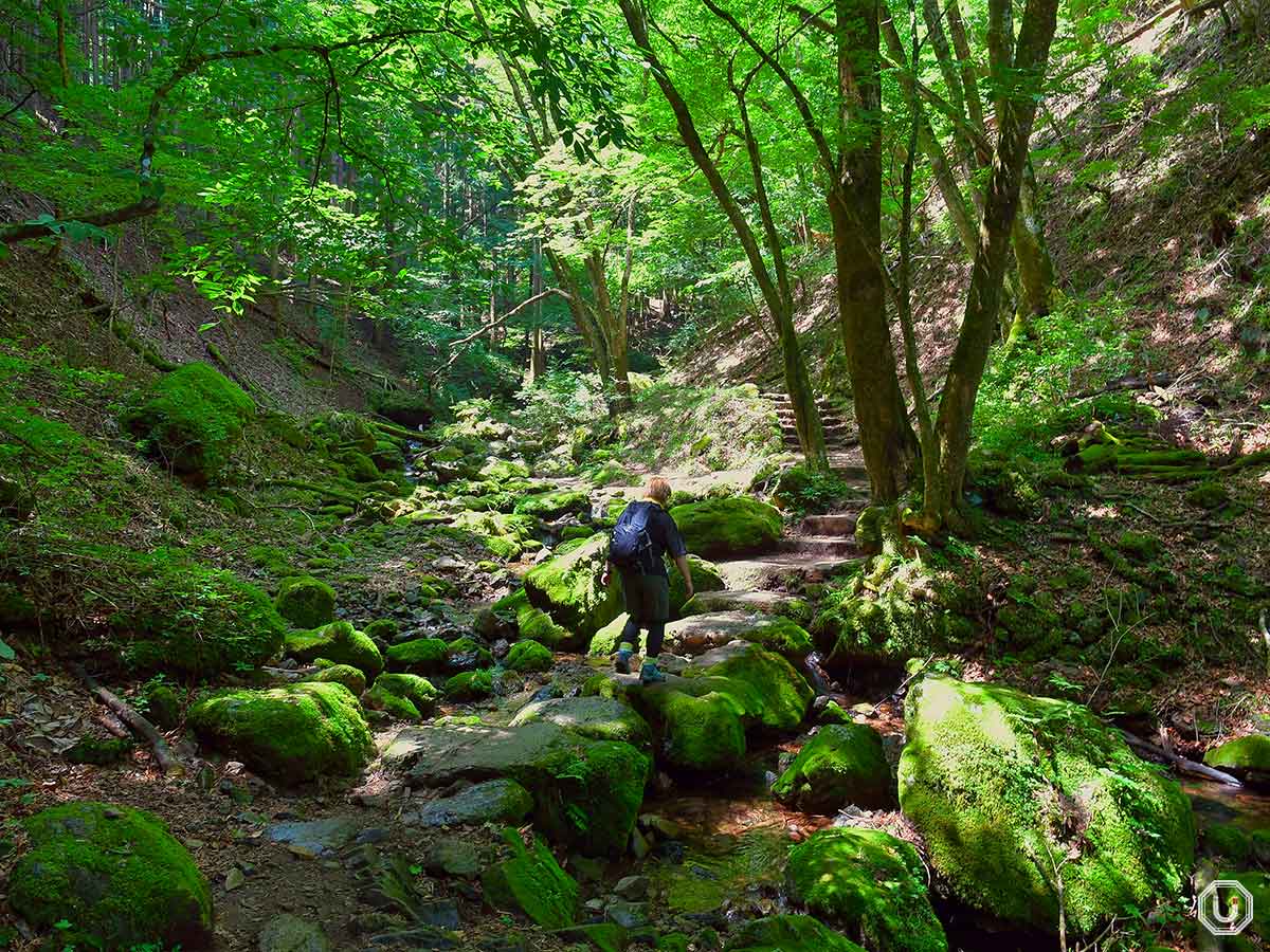 御岳山