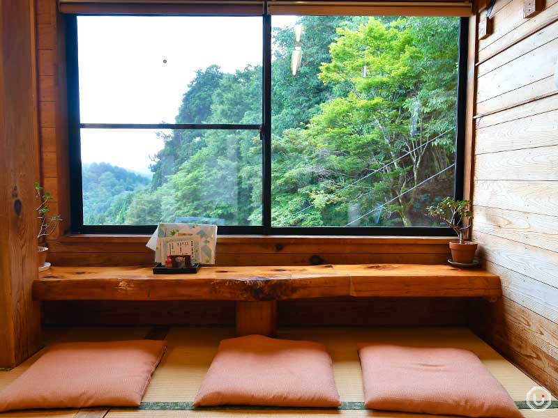 Panoramic view from the window