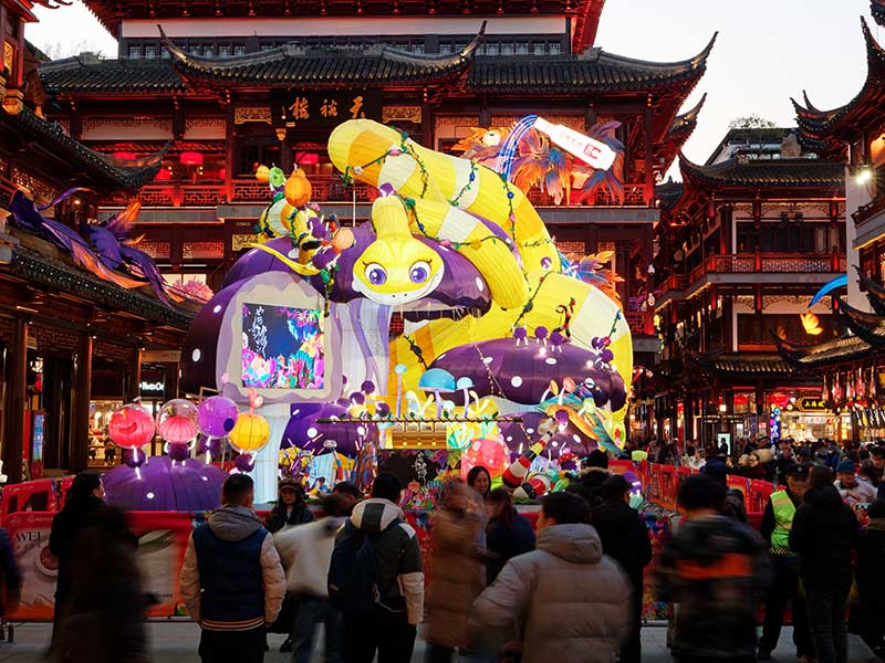 Lunar New Year image