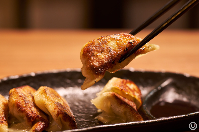Halal Gyoza
