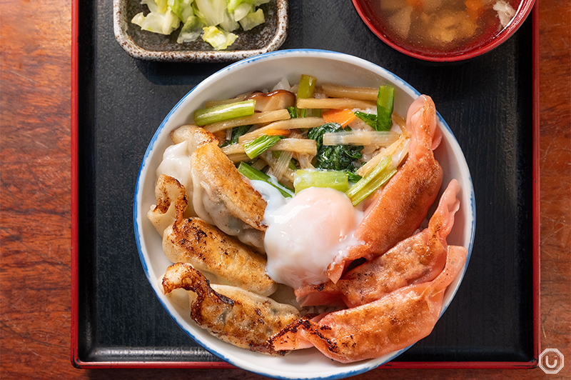 Mega Gyoza Rice Bowl