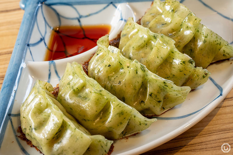 Vegetarian Gyoza