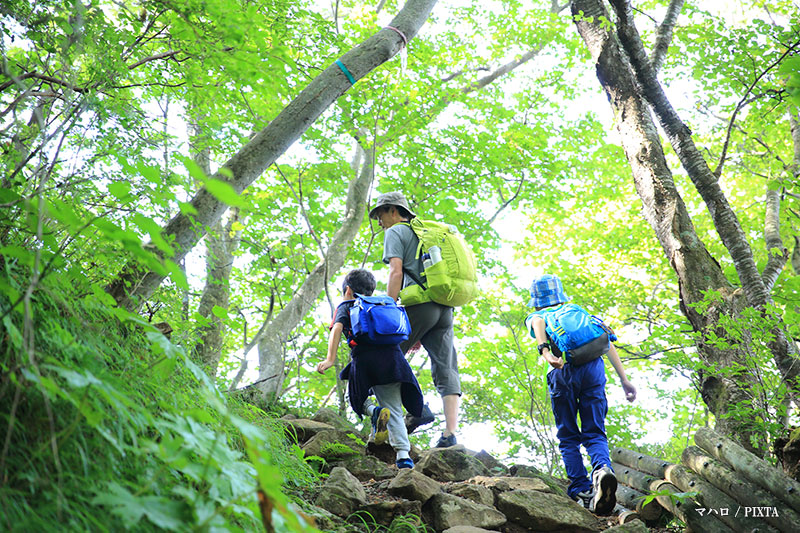 Forest bathing