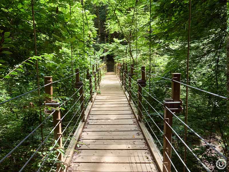 Suspension bridge on Trail 4 on Mt. Takao