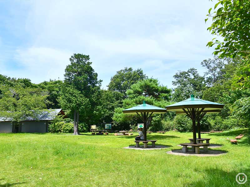 Summit Garden at Naganuma Park