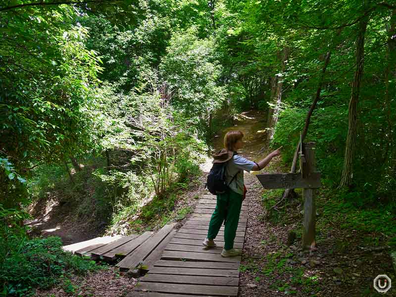 Yaen Ridge Trail in Naganuma Park