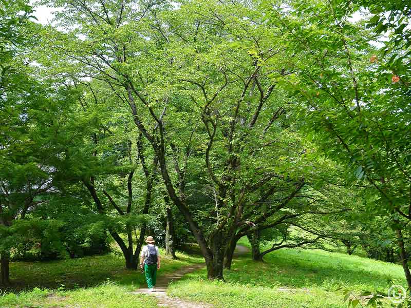 Tonogaya Path in Naganuma Park