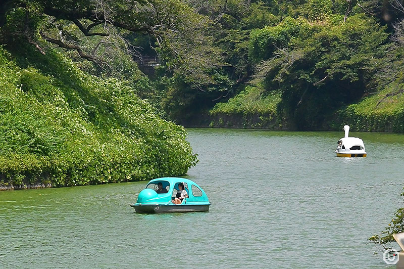 Chidori-ga-fuchi Boat Pier near the Imperial Palace