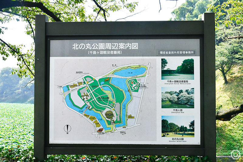 Kudan Slope near Chidorigafuchi