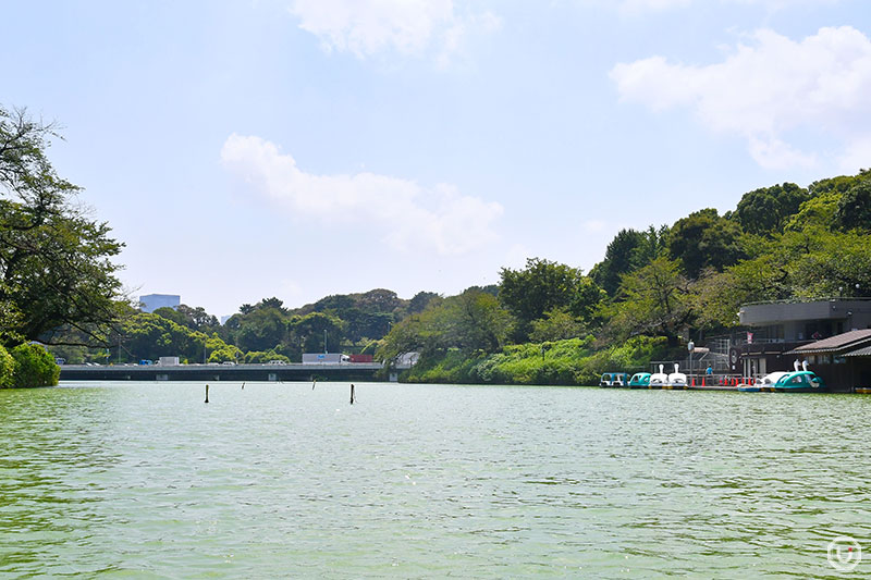Scenic view from Chidorigafuchi Boat Pier