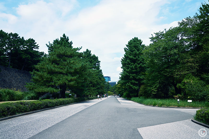 自然豊かな皇居東御苑