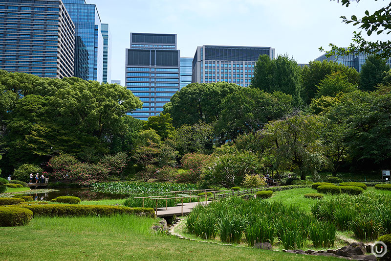 皇居東御苑の二の丸庭園