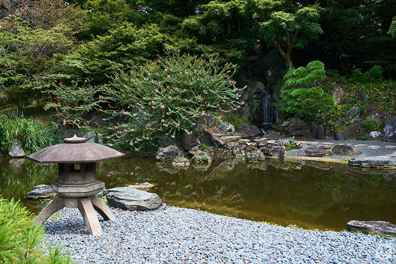 皇居東御苑の池泉回遊式庭園