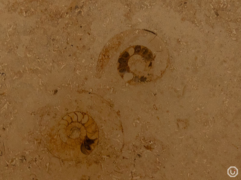 恵比寿にある山種美術館の写真