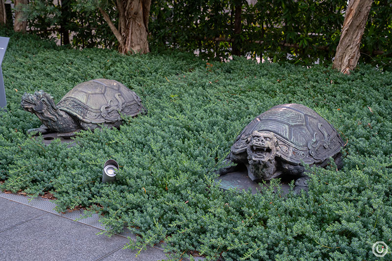 Twin Turtles sculpture